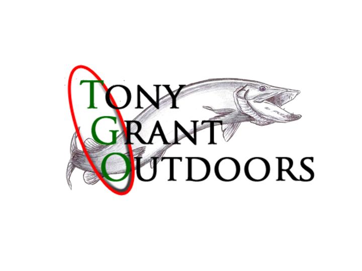 new tgo logo