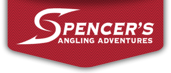 spencer-F1-logo-home